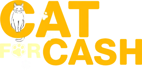 Đổi Tình Lấy Mèo