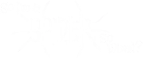 Tôi là nhện đấy, có sao không?