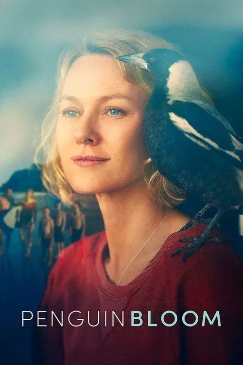 Cánh Cụt Nhà Bloom