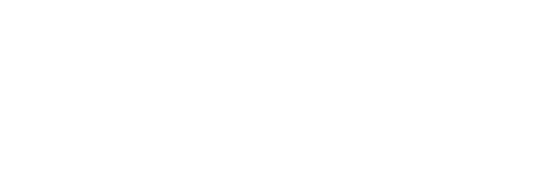 Câu Chuyện Cá Heo 2