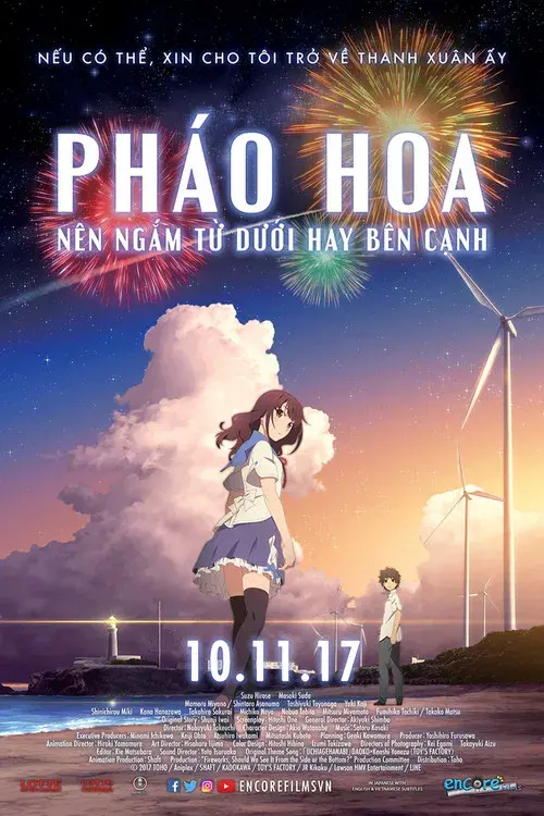 Pháo Hoa, Nên Ngắm Từ Dưới Hay Bên Cạnh?