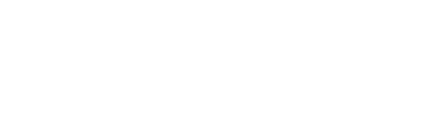 Nhân Chứng Hoàn Hảo