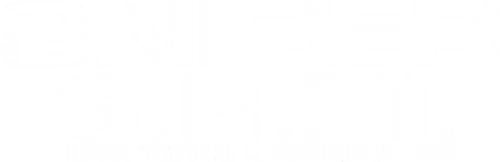 Sniper: G.R.I.T. - Global Response & Intelligence Team