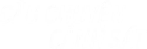 Câu chuyện cảnh sát