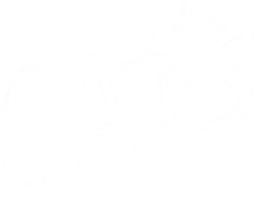 Cats: Những chú mèo