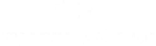 12 Kỵ Binh Quả Cảm