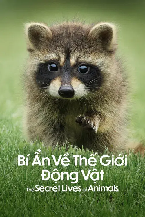 Bí Ẩn Về Thế Giới Động Vật - The Secret Lives of Animals