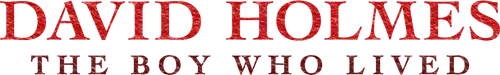 David Holmes - Chàng Trai Sống Sót