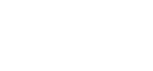 Giày bạc trên băng