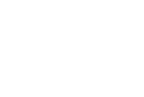 Bóng Tối Của Chỉ Huy