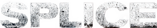 Splice