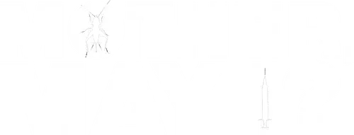 Mẹ Ơi, Con Có Được Không ?