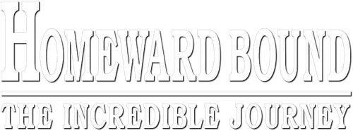 Hướng Về Nhà: Hành Trình Phi Thường