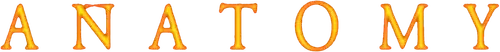 Giải phẫu