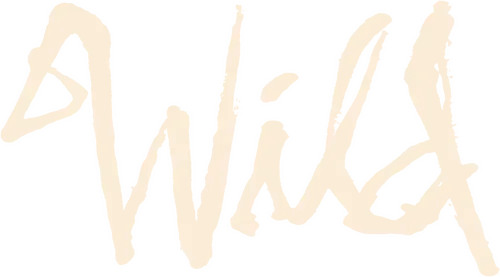 Chuyến Phiêu Lưu Hoang Dã