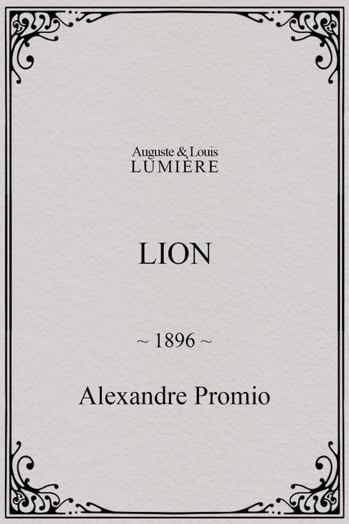 Lion, London Zoological Gardens