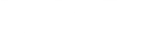 Borgen: Quyền lực & vinh quang