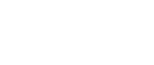 Thám Tử Phố Tàu 2