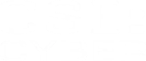 Đội Điều Tra Tội Phạm Trên Mạng (Phần 1)