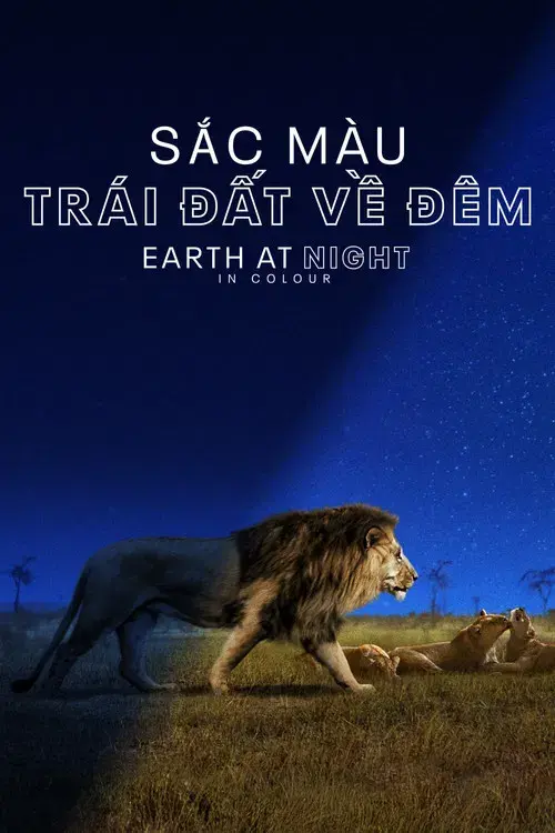 Sắc Màu Trái Đất Về Đêm - Earth at Night in Colour