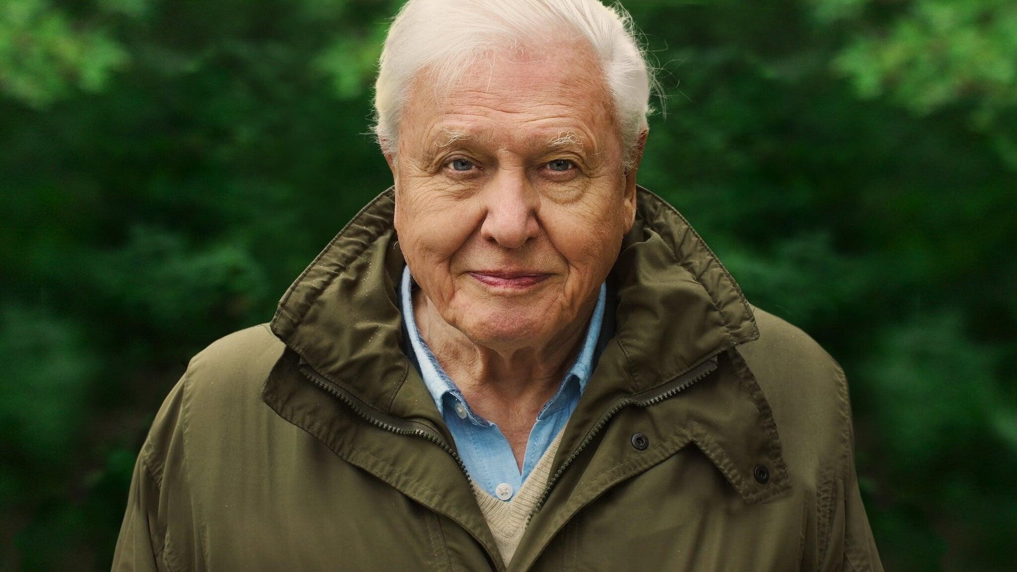 David Attenborough: Một Cuộc Đời Trên Trái Đất