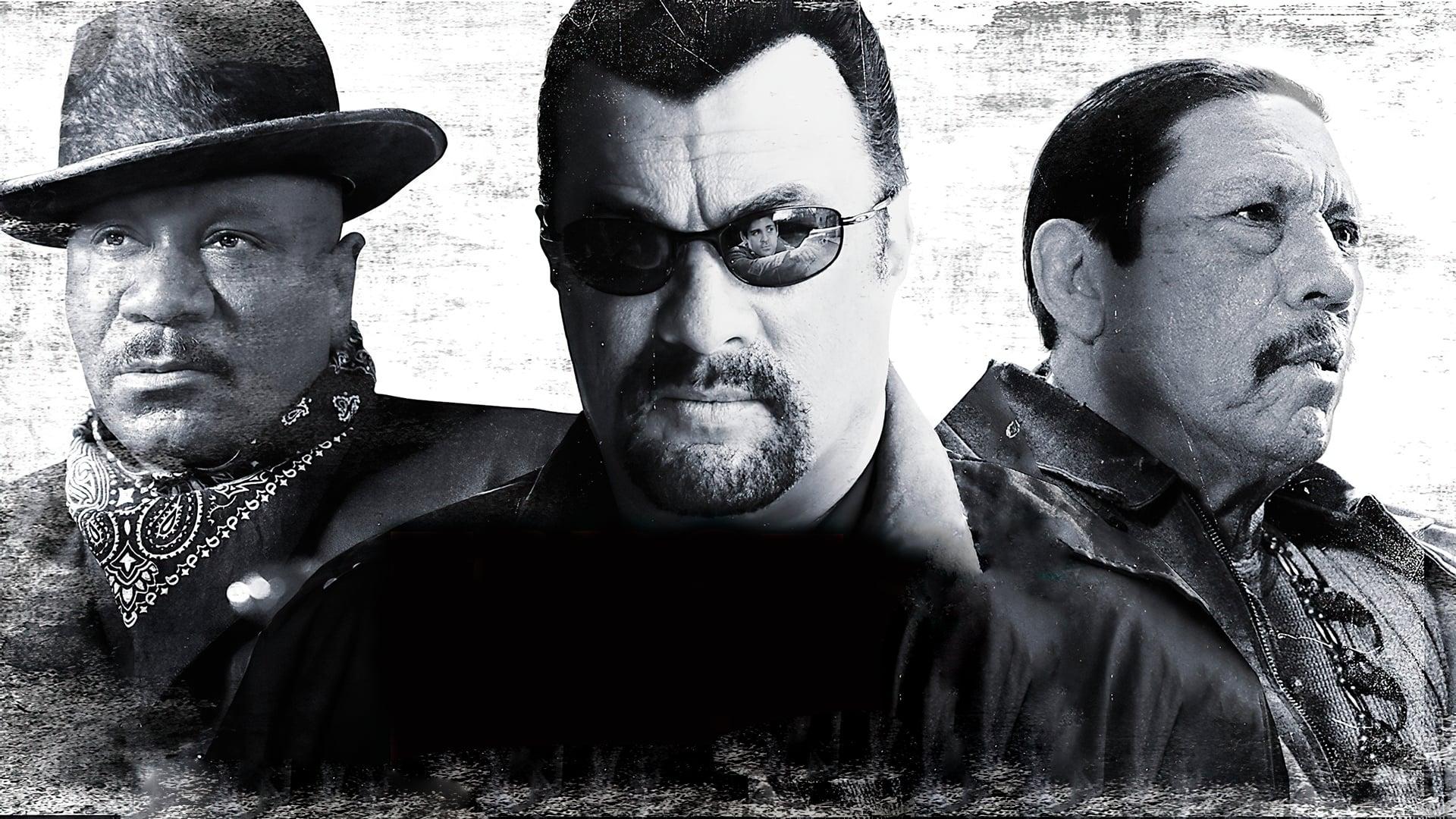 Lực Lượng Đặc Nhiệm (2013)