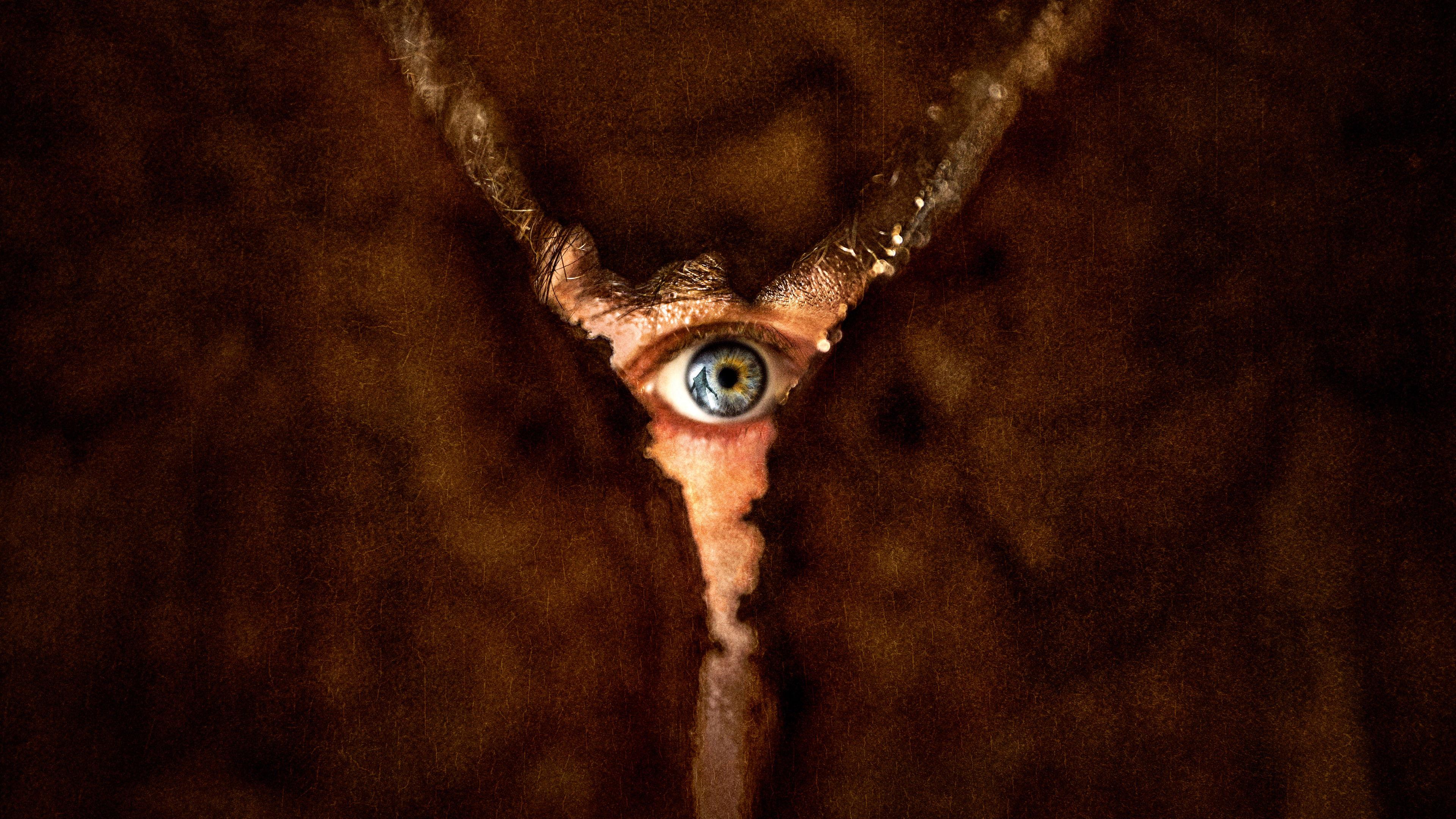 Đồi Câm Lặng: Ác Mộng Trong Sương