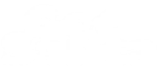 Truy Đuổi Ông Già Noel