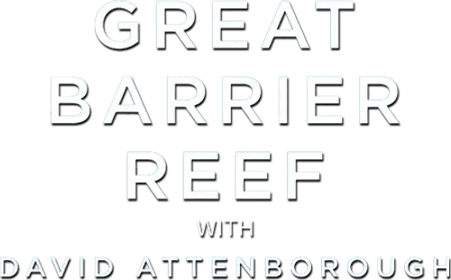 Khám Phá Rạn San Hô Great Barrier cùng David Attenborough